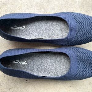 Allbirds women’s tree breezers blue